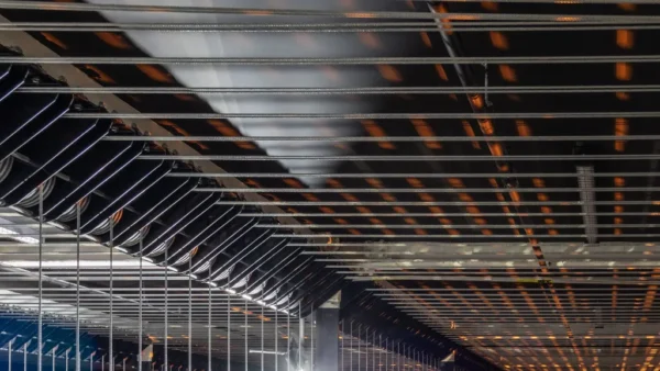 Recap Pro Grundlagen